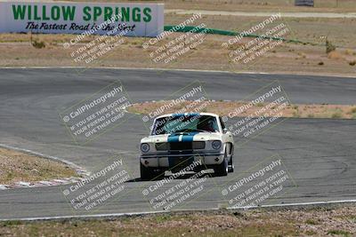 media/Mar-05-2022-West Coast Racing (Sat) [[34c75378a2]]/4-Blue/1140am Session/